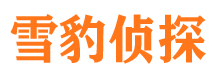 河南捉小三公司